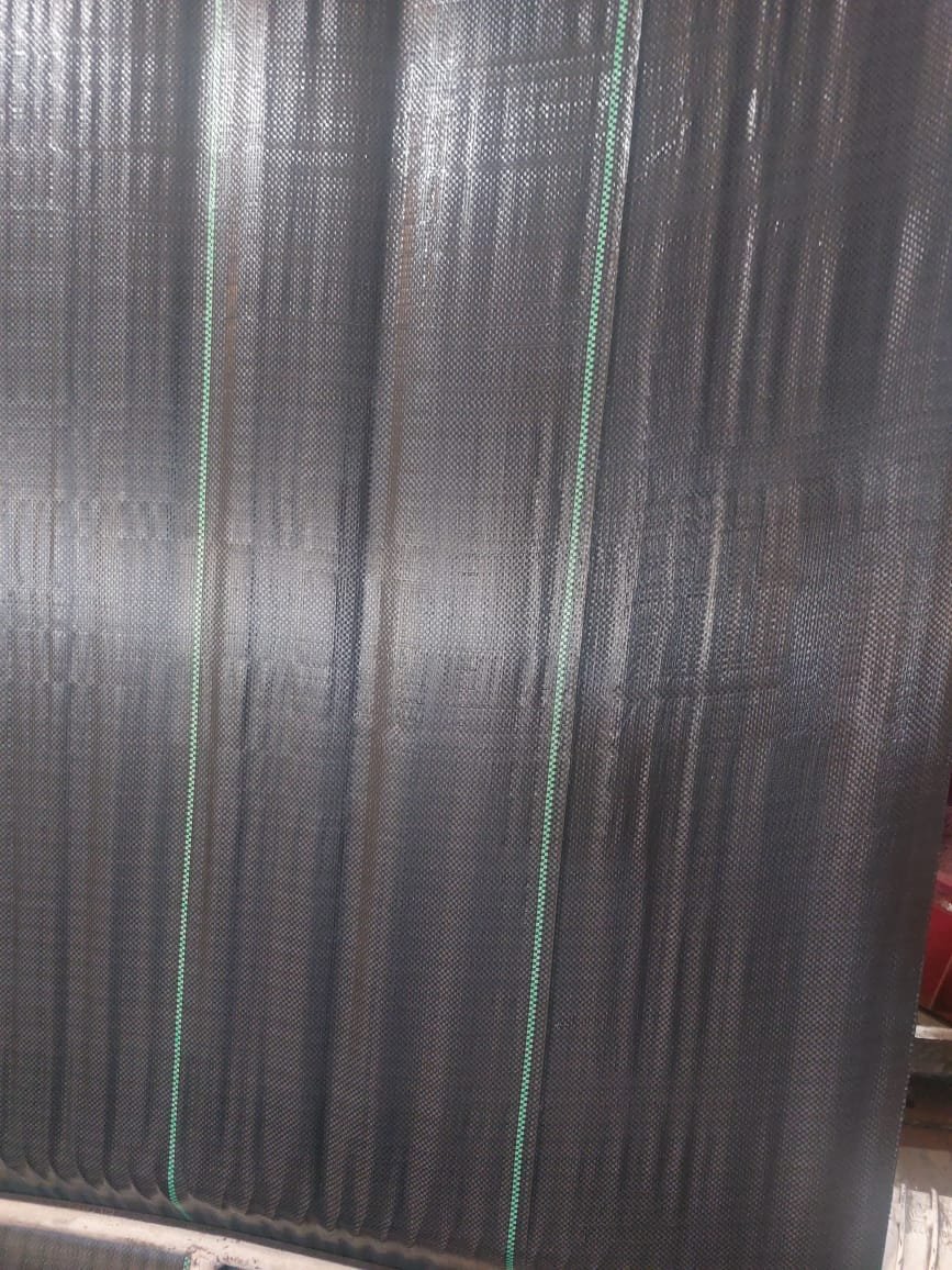 WhatsApp Image 2025-12-10 at 10.22.05 AM