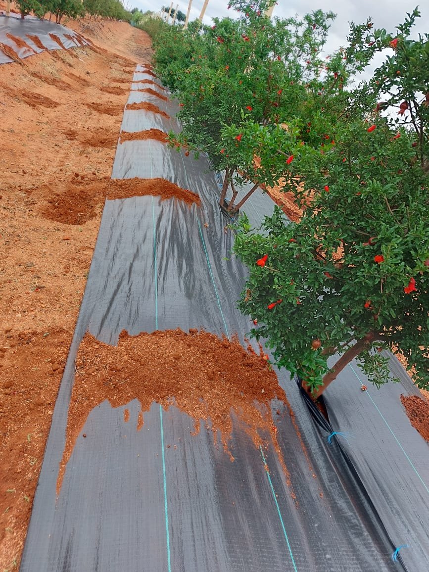 WhatsApp Image 2025-12-10 at 10.22.11 AM