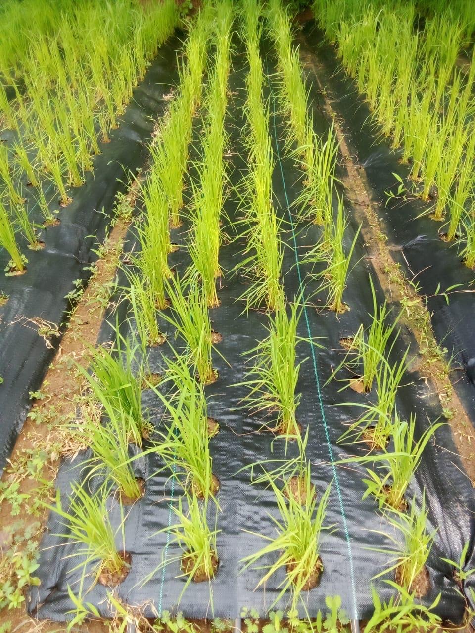 WhatsApp Image 2025-12-10 at 10.22.30 AM